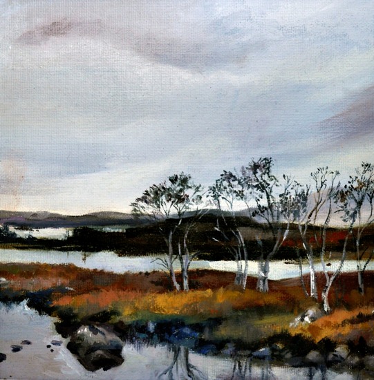 'Rannoch Moor Reflections' by artist Catherine King